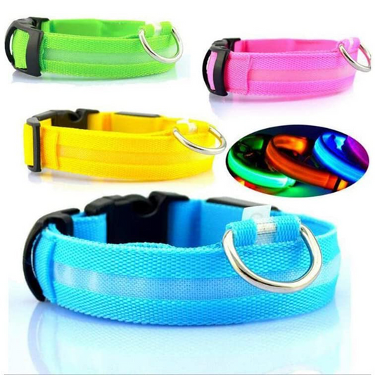 LED Dog Collar