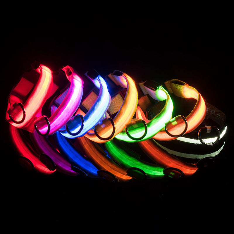 LED Dog Collar