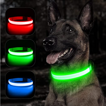 LED Dog Collar