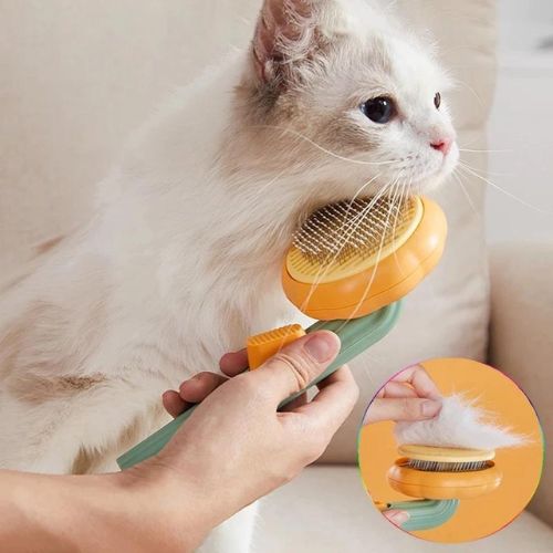 Pet Brush