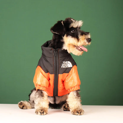 The Dog Face Windbreaker