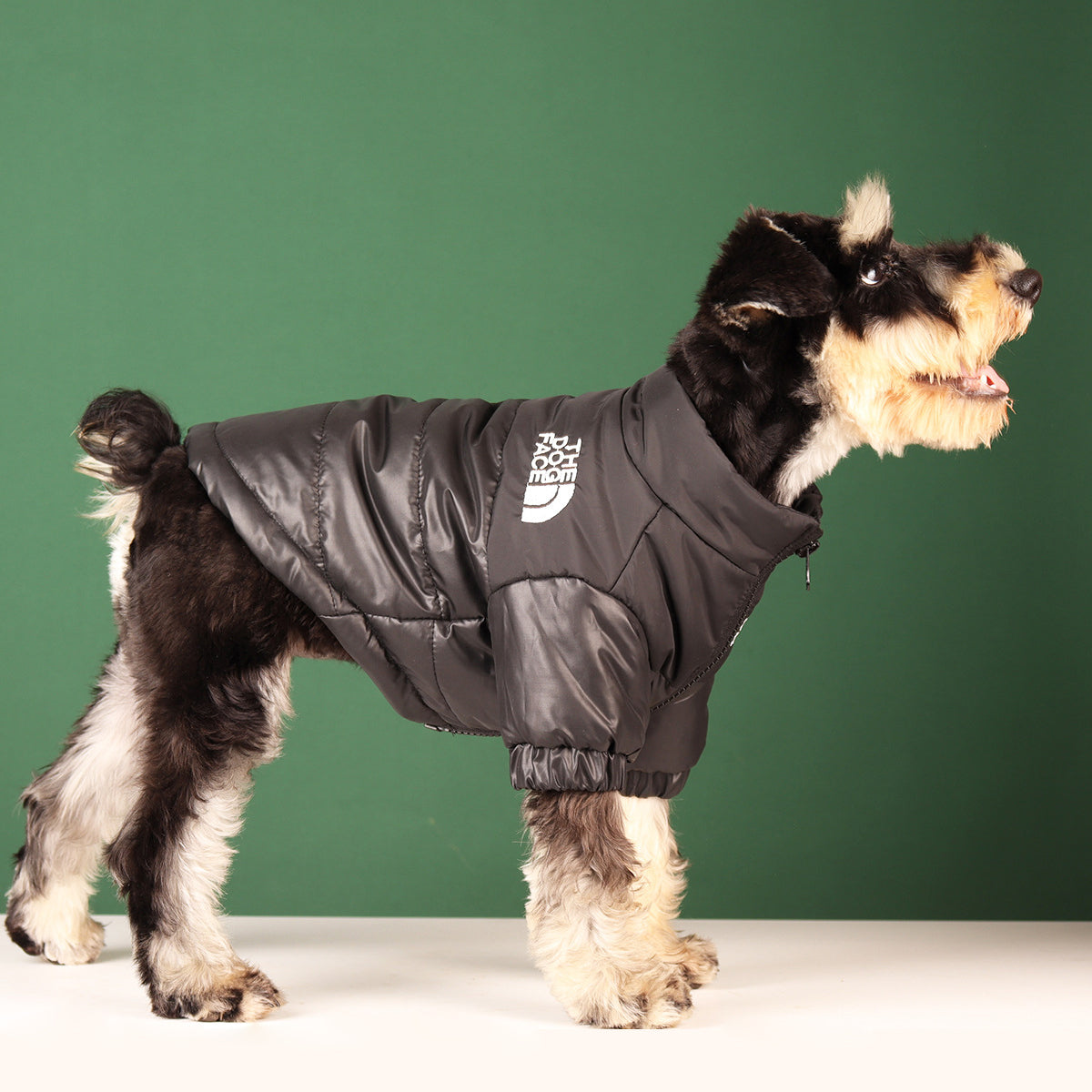 The Dog Face Windbreaker