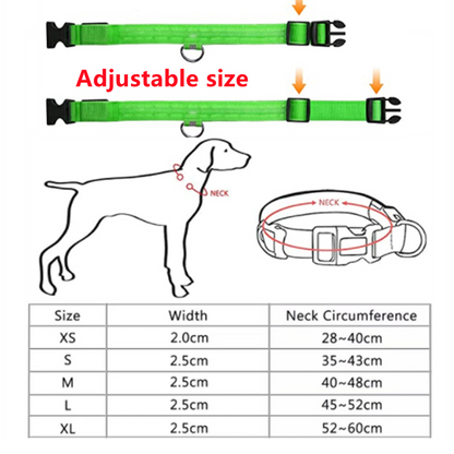 LED Dog Collar