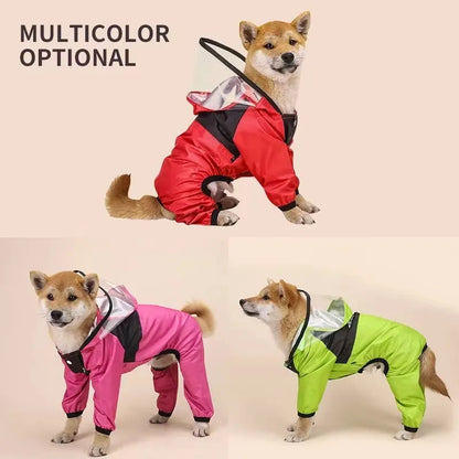 The Dog Face Raincoat